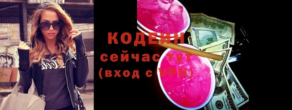 дживик Заводоуковск